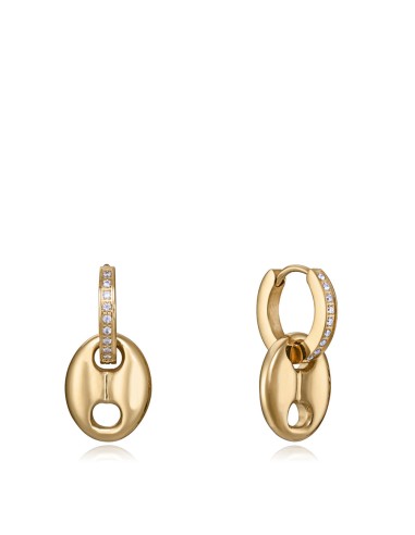 Pendientes Chic Acero Ip Dorado & Circonitas...